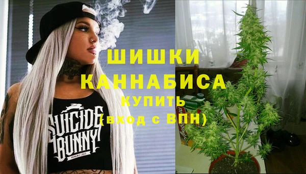 стаф Абдулино